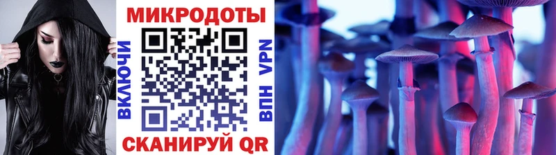 это какой сайт Дно Галлюциногенные грибы Psilocybine cubensis hydra маркетплейс